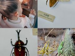 -中国湿地博物馆