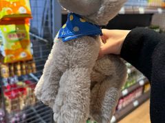 -静之湖湖畔餐厅