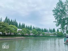 -嘉定紫藤园