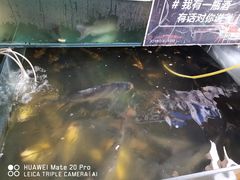 -大鹅岛灶台鱼·铁锅炖(水库路店)