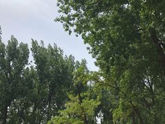 -二一九公园