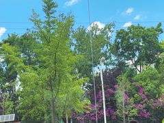 -沾益龚记辣子鸡(沾益店)