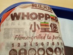-汉堡王(徐汇绿地缤纷店)