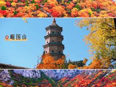 -迎泽公园