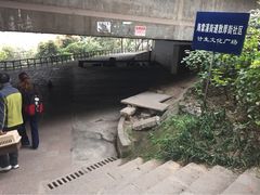 iphone_upload_pic-黄葛古道