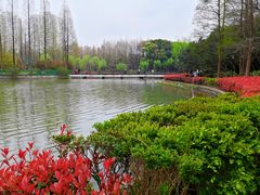 -黄兴公园