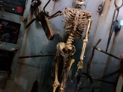 -信不信由你博物馆