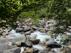 -石台牯牛降景区