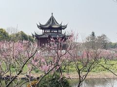 -上海海湾国家森林公园