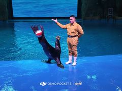 -芜湖新华联大白鲸海洋公园