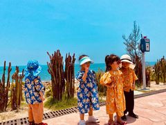 -广东惠东海龟国家级自然保护区