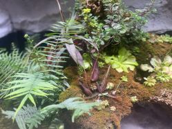 -Zoolung Zoolung动物主题公园(海信广场店)