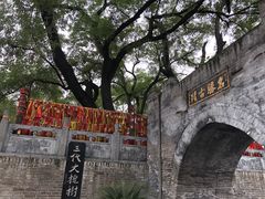 -大槐树寻根祭祖园