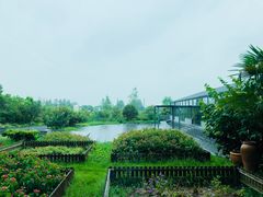 -太阳岛度假酒店