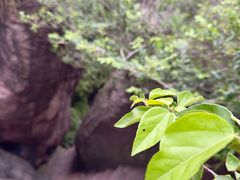 -宝石山
