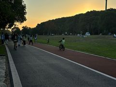 -艾溪湖湿地公园