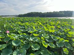 -翡翠湖迎宾馆·游泳馆