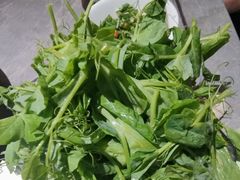 -忘情水鱼头·鲜鱼火锅(滨江中路店)