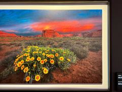 -罗红摄影艺术馆