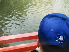 -向外鱼乐·土菜·虹鳟鱼