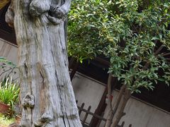 -江南第一家
