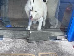 -OZ cafe(南昌路店)