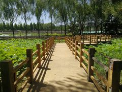 -东升八家郊野公园