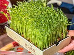 -湊湊火锅·茶憩(南京东路悦荟店)