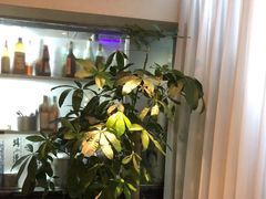 -路小缦·珍馐美馔(市心北路店)
