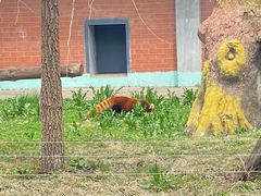 -哈尔滨北方森林动物园