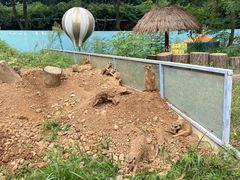 -无锡动物园·太湖欢乐园