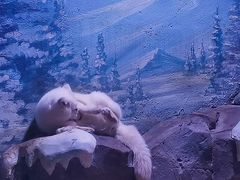 -上海海昌海洋公园