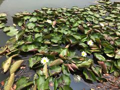 -江南大学(蠡湖校区)