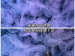 -海合安天津极地海洋公园