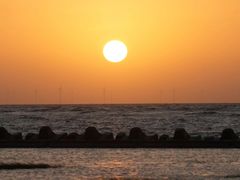 -南汇嘴观海公园