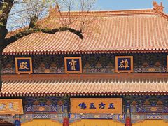 -西安大兴善寺