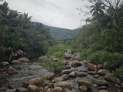 -海南热带雨林国家公园吊罗山景区