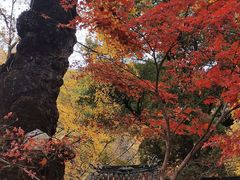 -重元寺香积厨素斋馆