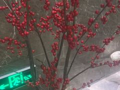 -东吴水韵(吴中店)