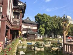 -南翔馒头店(豫园店)