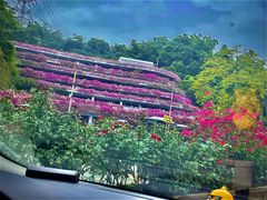 -深圳仙湖植物园