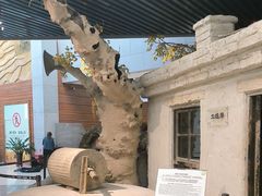 -三五九旅屯垦纪念馆