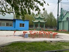 -秦皇岛野生动物园
