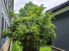 -毛泽东与第一师范纪念馆