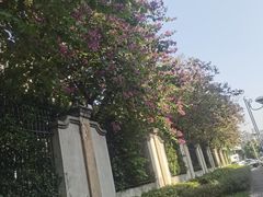 -滴水岩森林公园