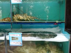 水产区-南海渔家•海鲜•正宗海南菜(海棠湾店)