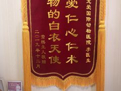 -宠爱国际动物医院· 猫科· 外科·中兽医(长白店)