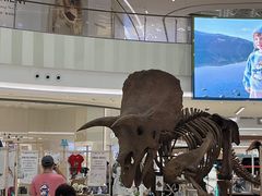 -上海七宝领展广场