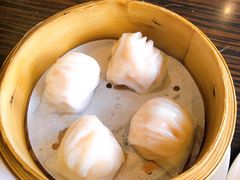 维园虾饺皇-维园悦谱·海派家常菜(乌鲁木齐南路店)