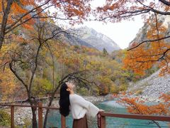 -叠溪松坪沟景区